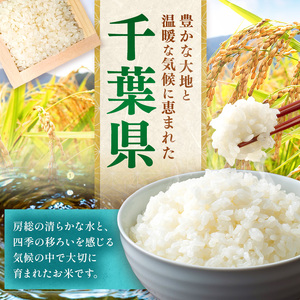 新米 無洗米 令和7年産 千葉県産 コシヒカリ 10kg 【 10月上旬以降発送 】 | コメ こめ お米 白米 ふっくら もちもち こしひかり おにぎり お弁当 千葉ふるさと蔵 イチオシ 千葉県 君
