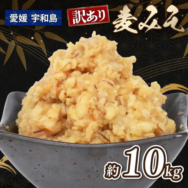 味噌 訳あり 麦味噌 約 10kg 宮居醤油店 味噌 J015-122007