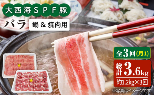 【月1回1.2kg×3回定期便】大西海SPF豚 バラ（焼肉＆しゃぶしゃぶ用）計3.6kg 訳あり ＜大西海ファーム＞ [CEK086]