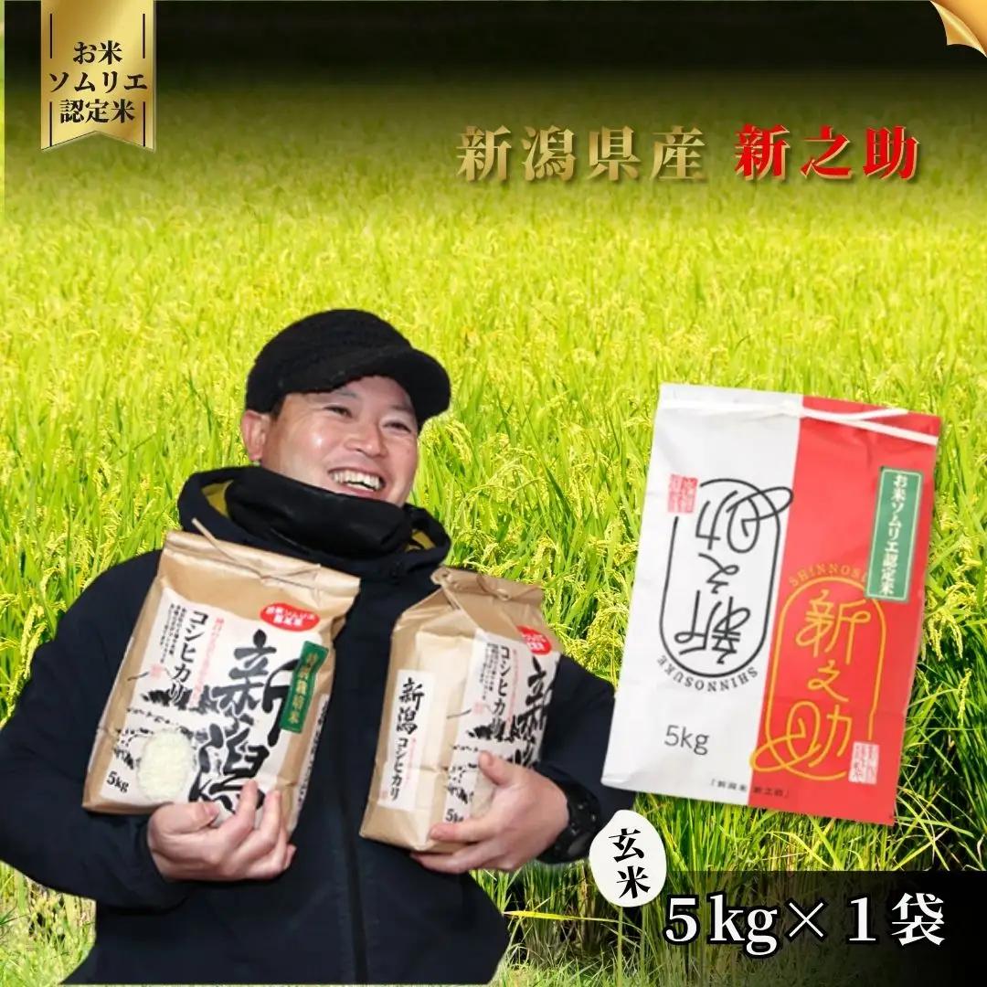 【先行予約】令和8年産 新米 新之助 玄米 5kg【10月中旬発送開始】 | 新潟県産 米 玄米 五泉市