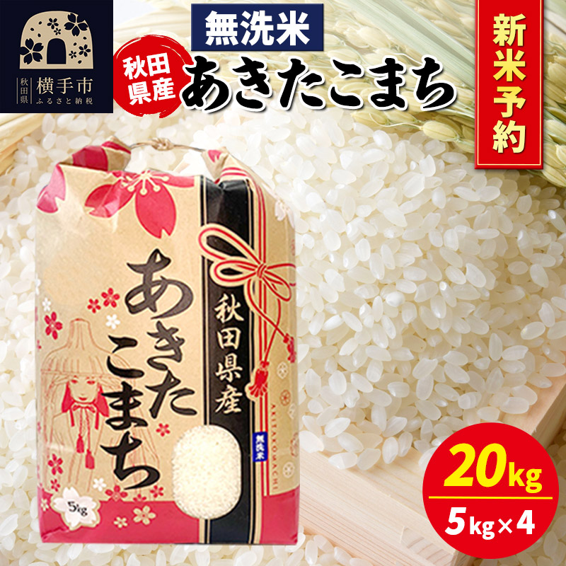 《令和7年産 新米受付》あきたこまち 20kg（5kg×4袋）【無洗米】秋田県産 こまちライン