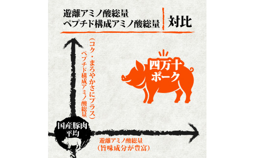 四万十ポークスライス1.5kg | 300g × 5パック セット 豚肉 豚バラ肉 小分け 小間切れ スライス 切り落とし 冷凍 真空パック 簡単調理 細切れ 大容量 肉 高知県 須崎市 TM038