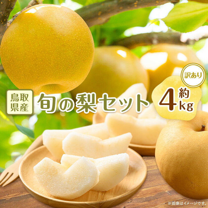 【ふるさと納税】【訳あり】鳥取県産旬の梨セット 4kg_ 梨 なし 訳あり 旬 人気 おすすめ 送料無料 果物 くだもの フルーツ 4kg セット ミックス 詰合せ 【配送不可地域：離島・北海道・沖縄県】【1554510】