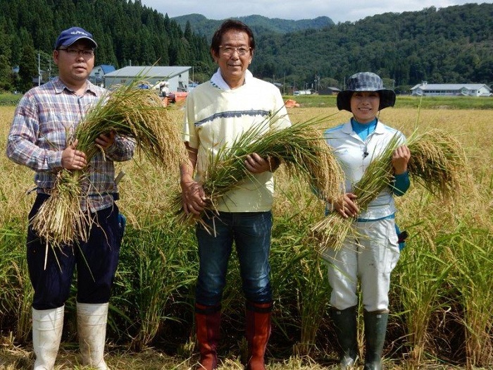 食中酒にも最適　桜川酒造　まわる水　吟醸生酒　700ml3本セット