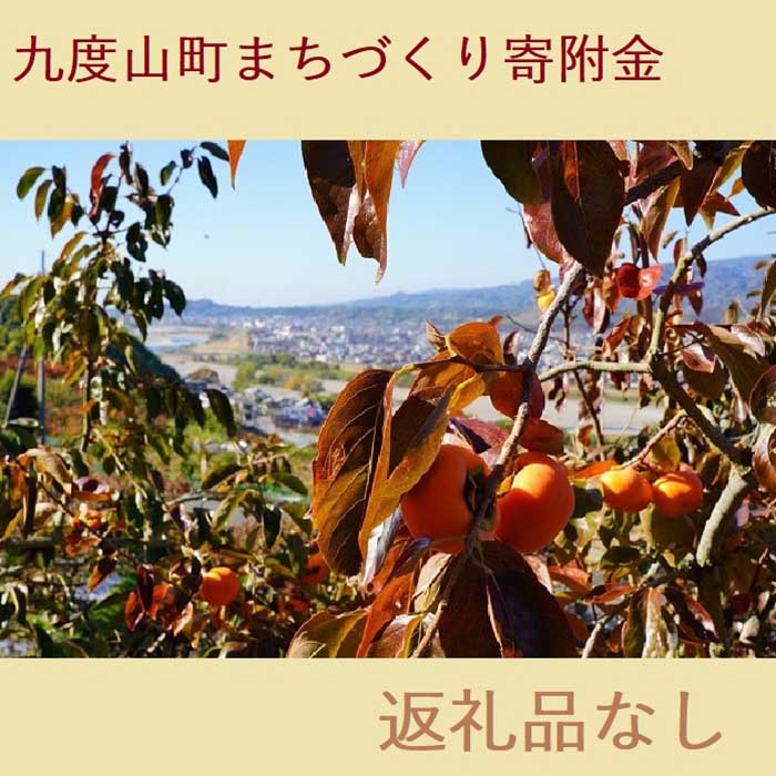【ふるさと納税】【返礼品なし】九度山町まちづくり寄附金（1,000円単位でご寄附いただけます） | 和歌山県 九度山町 和歌山 支援 楽天ふるさと 納税 返礼なし 返礼品なし 応援 1000円 観光 福祉 教育 子ども 子供 ワンストップ申請 ワンストップ 寄附 寄付 1,000円 千円