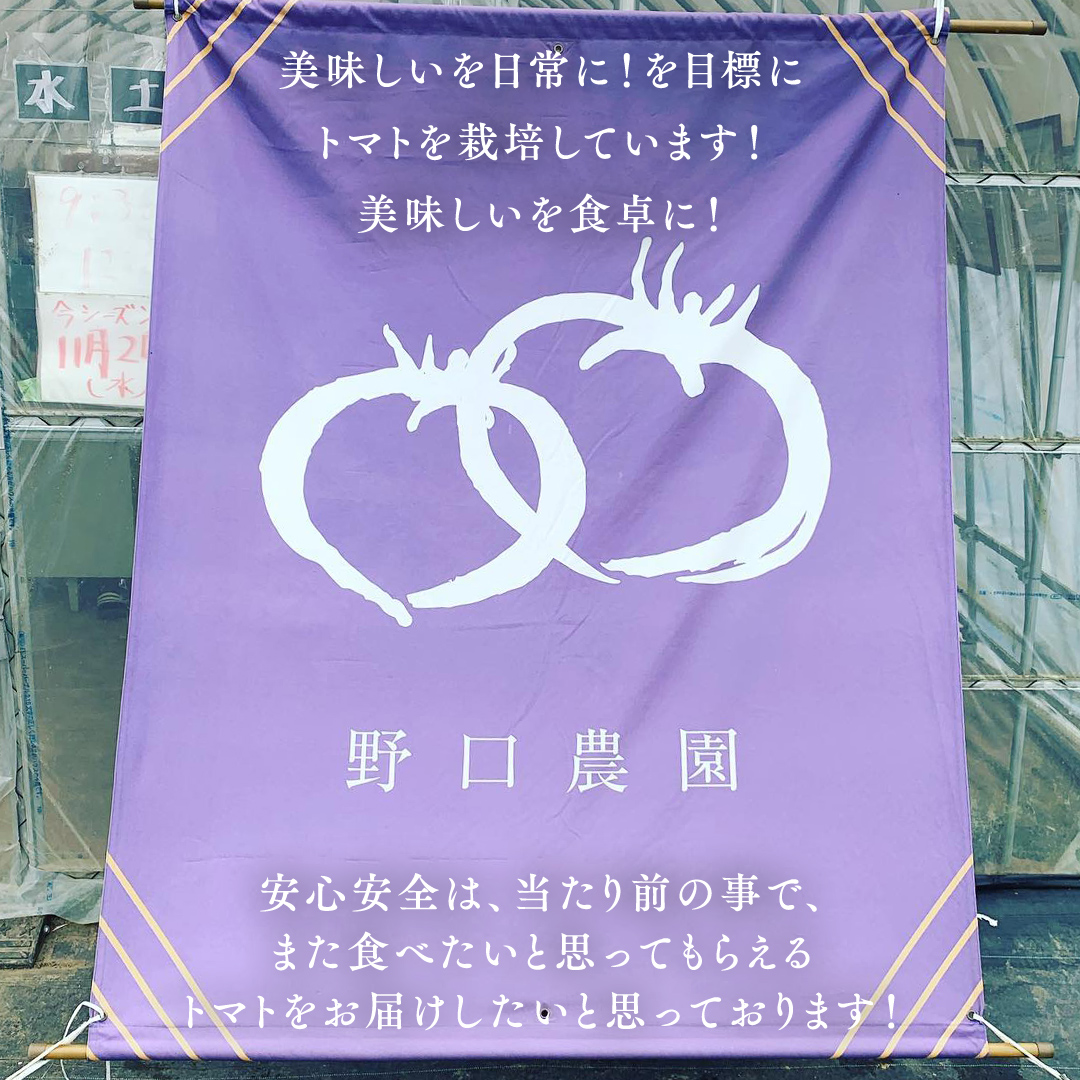 ぜいたくトマト！約2kg ( 9個～12個 ) トマト 大玉トマト 新鮮