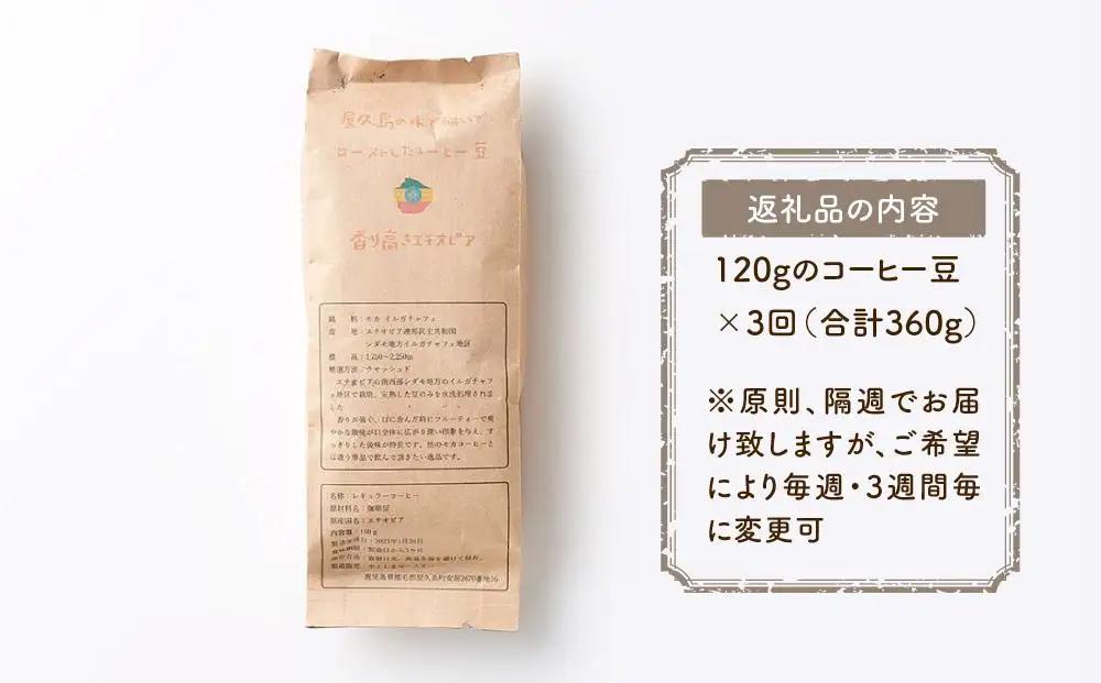 【定期便 全3回】【豆】屋久島の水で磨き、機械を使わずに焙煎するコーヒー豆 | コーヒー豆
