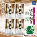 【ふるさと納税】 令和6年産 真室川町厳選 はえぬき ＜白米＞ 60kg 定期便（20kg×3回お届け）