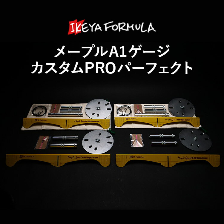 【ふるさと納税】メープルA1ゲージカスタムPROパーフェクト | アライメントゲージ 測定 調整 タイヤ ホイール 車 車用品 イケヤフォーミュラ IKEYA FORMULA