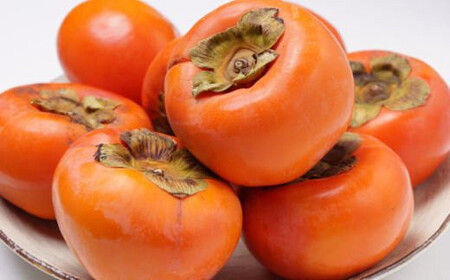  ≪柿の名産地≫九度山の富有柿約7.5kgご家庭用 【tec413A】