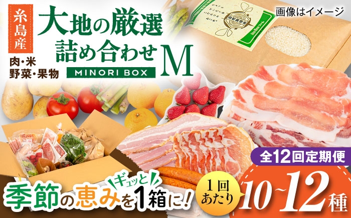 
                  【全12回定期便】糸島産 肉 米 野菜 果物 厳選詰め合わせ MINORI BOX Mサイズ 糸島市 / emma.Inc / 米 肉 野菜 果物 詰め合わせ [AOP014]
                