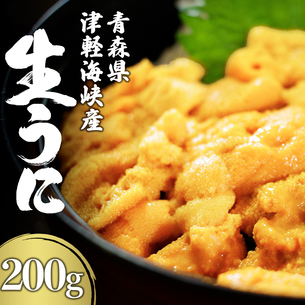 津軽海峡産　生うに　パック　100g×2　キタムラサキウニ　大畑漁協