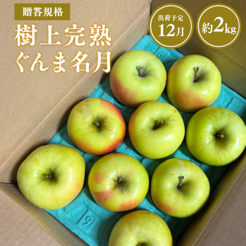 【令和7年産受付】贈答用 樹上完熟ぐんま名月約2kg【青森県平川市産・青森りんご】