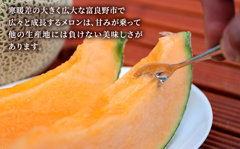 【2026年6月下旬～発送】富良野メロン『NORTH PREMIUM』1玉 約2kg以上 北海道 ふらの (NORTH FUN) メロン フルーツ 果物 新鮮 甘い 贈り物 ギフト 道産 ジューシー 