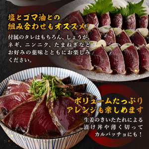 a10-1066　日光丸限定 一本釣り 鰹たたき（ハーフカット）約1.5kg