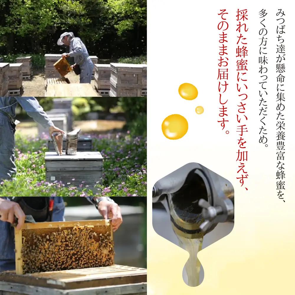 努力の結晶 はちみつ 合格祈願セット｜はちみつ