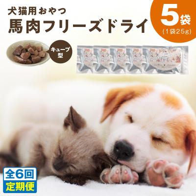 ふるさと納税 泉佐野市 【毎月定期便】馬肉フリーズドライ 犬猫用おやつ 25g×5袋(犬猫用 国産)全6回
