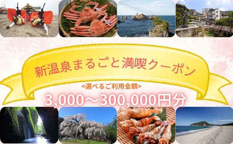 【ふるさと納税】＜選べるご利用金額＞新温泉まるごと満喫クーポン 3,000円～300,000円 宿泊利用券 宿泊券 利用券 商品券 ホテル券 旅行券 チケット 旅館 ホテル 温泉 旅行 観光 兵庫県 新温泉町 送料無料