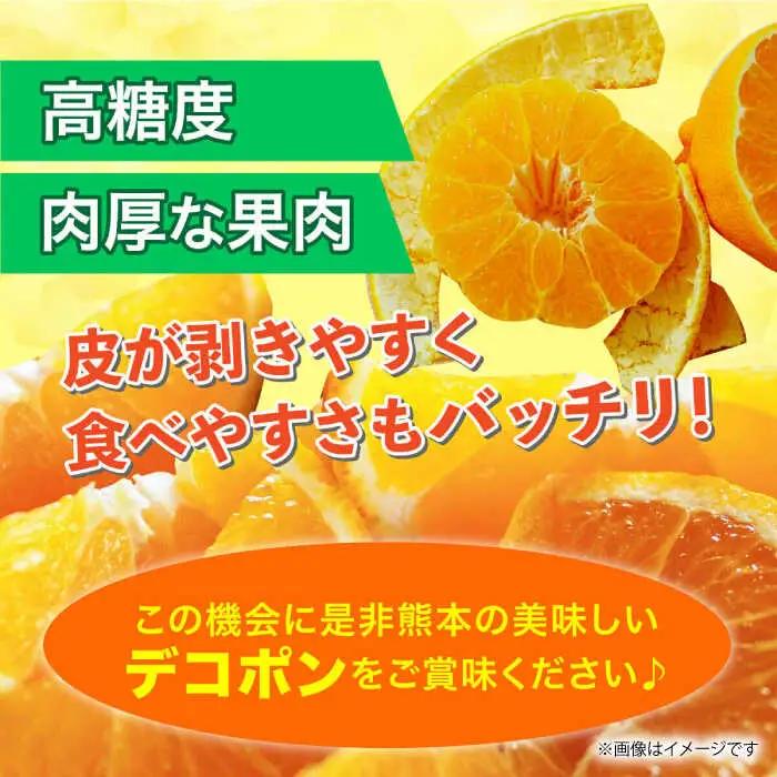 【先行予約】12月～2月発送 デコポン 約5kg 果物デコポン柑橘ZBG059