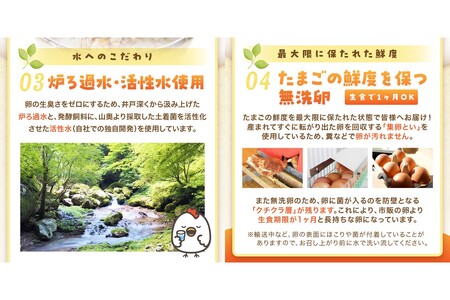 〈平飼い卵〉あかねの虜（40個/月）【12カ月定期便】【J95-004】