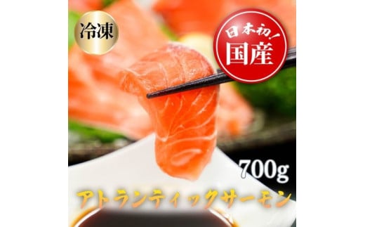 C59【6月27日(金)発送】日本初！今話題の国産アトランティックサーモン「FUJI ATLANTIC SALMON」【冷凍】700ｇ