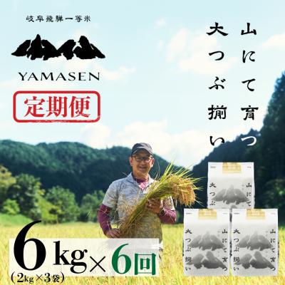 ふるさと納税 下呂市 【令和7年産】【定期便】山仙(いのちの壱)2kg×3袋×6回 すがたらいす【51-U】