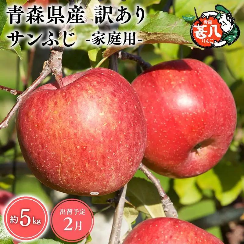 りんご 家庭用 サンふじ５kg りんご
