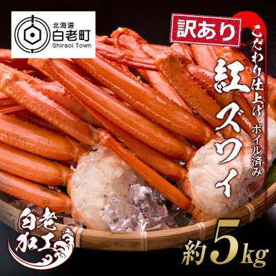 ふるさと納税 白老町 訳あり　紅ズワイガニ脚　ボイル冷凍5kg(14〜40肩前後)　ギフトやプレゼントにも　北海道　BM