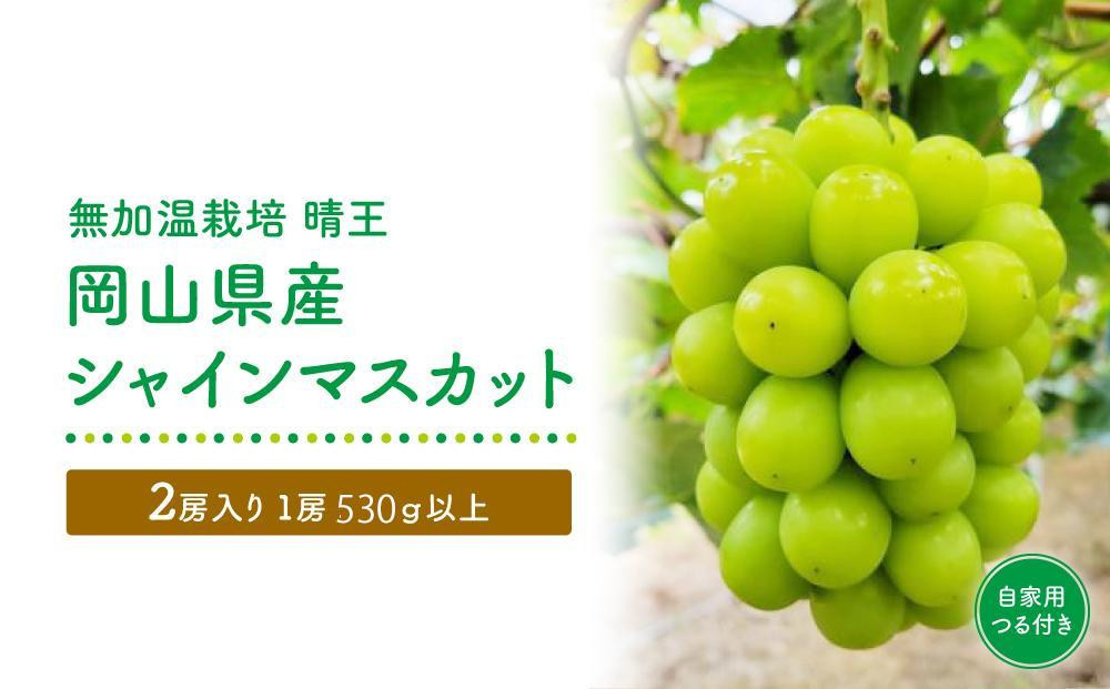 
            GV14　【無加温栽培（晴王）】岡山県産シャインマスカット自家用つる付き2房入り（1房530ｇ以上）＜2025年発送＞【シャインマスカット シャイン マスカット 人気フルーツ 岡山フルーツ おすすめフルーツ 岡山県 倉敷市】
          