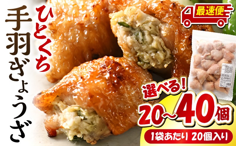 
            【内容量・発送時期が選べる】ひとくち 手羽 ぎょうざ 20個(1パック)or40個(2パック) | 餃子 ぎょうざ 手羽 肉 お肉 手羽先 手羽先餃子 手羽先ぎょうざ 宮崎餃子 ご当地 グルメ ご当地グルメ おつまみ おかず 中華料理 焼き餃子 揚げ餃子 鶏肉 豚肉 牛肉 一口 ひとくち 一口サイズ 冷凍 宮崎 宮崎市 ｜_M025-005-SKU
          