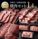 【ふるさと納税】※レビューキャンペーン※ 宮崎牛 ＆ 宮崎県産豚 焼肉セット 肉 牛肉 豚肉 国産 黒毛和牛 BBQ バーベキュー セット 詰め合わせ 肩ロース ウデ うで 豚バラ ぶた カルビ ミヤチク 肉質等級4等級以上 4等級 5等級 宮崎県 川南町 D0647