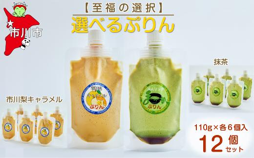 【至福の選択】選べる12個セット（市川梨キャラメル×抹茶）ぷりん　【12203-0348】