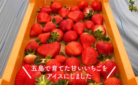 【濃厚で甘酸っぱいいちごの香りがたまらない】五島産いちごアイス 20個入 アイス いちご 苺 五島市/野原農園 [PCM001]