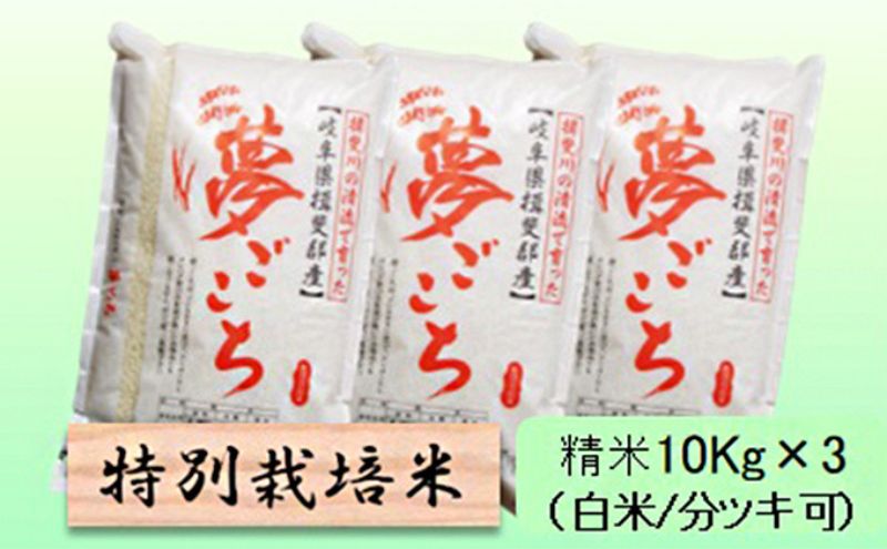 【令和7年産】特別栽培米 30kg【白米、7分ツキ】（夢ごこち）