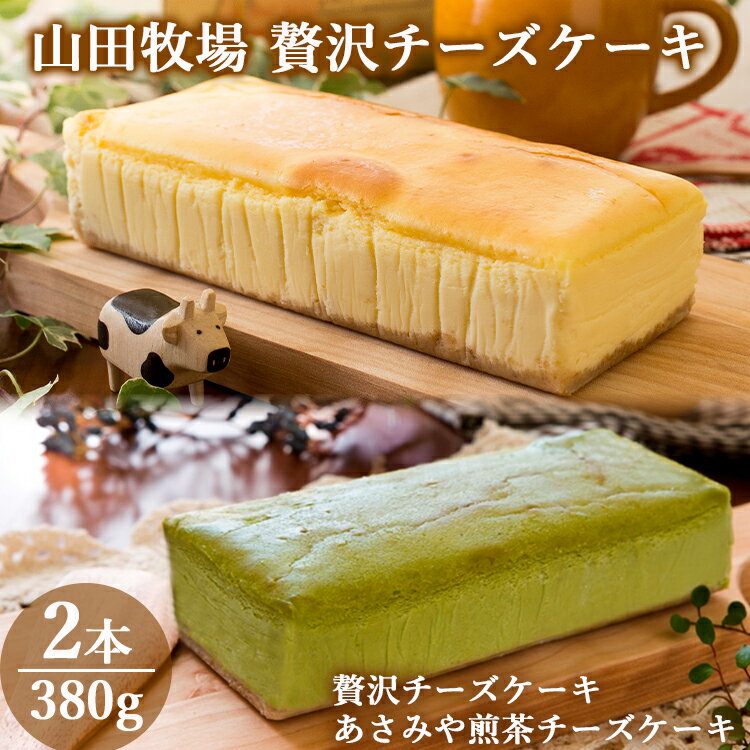【ふるさと納税】山田牧場 贅沢チーズケーキ2本セット