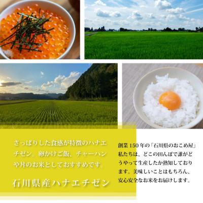 ふるさと納税 野々市市 【さっぱりとした食感と甘み】石川県産ハナエチゼン 令和7年産玄米10kg(5kg×2袋) |  | 01