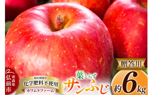 りんご【先行受付】葉とらず サンふじ 約6kg カワムラファーム 贈答用