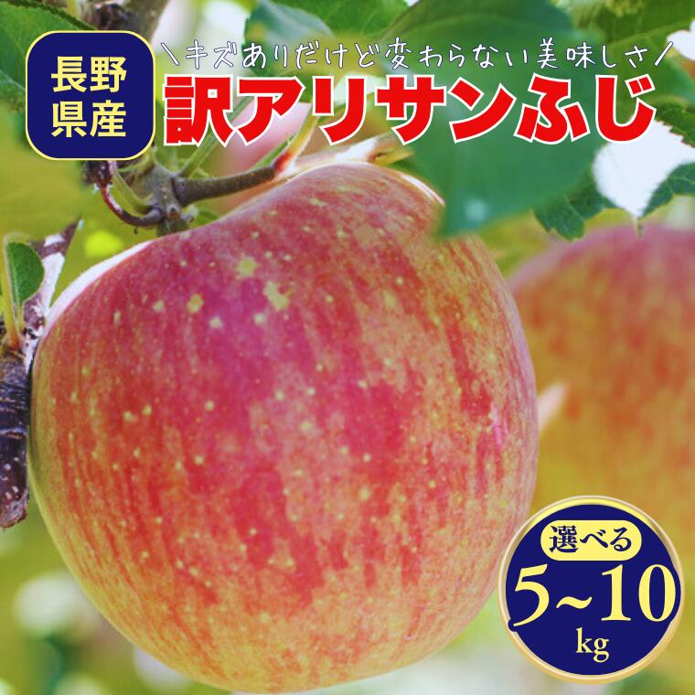 【ふるさと納税】＊2026年度発送＊りんご 訳ありサンふじ 約5kg or 10kg／2026年1月上旬～2月上旬頃配送予定 // 長野県 南信州 サンふじ りんご 果物 フルーツ フードロス MS17 MS18