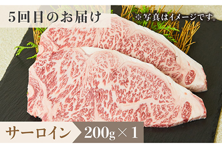 ＜6回定期便＞佐賀牛希少部位〜ひとり贅沢ステーキコース〜イチボ/ランプ/ミスジ/クリ/サーロイン/シャトーブリアン【ミートフーズ華松】ブランド 高級 和牛 霜降り やわらか 冷凍 料理  精肉 牛肉 