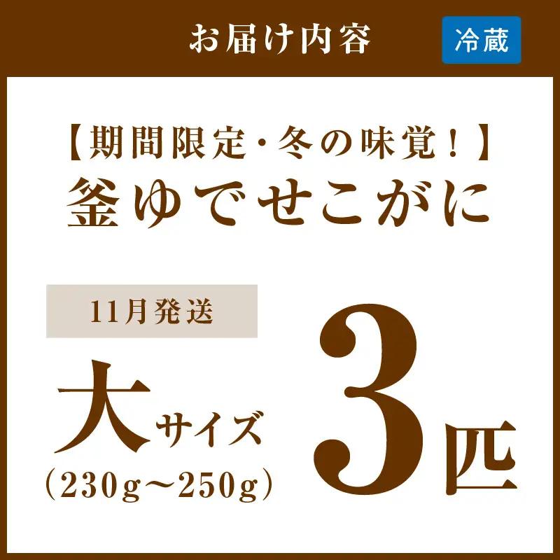 【カニ】【期間限定・冬の味覚！】釜ゆでせこがに 大サイズ (230ｇ～250ｇ) 3匹入り （11月発送）／北畿水産 カニ