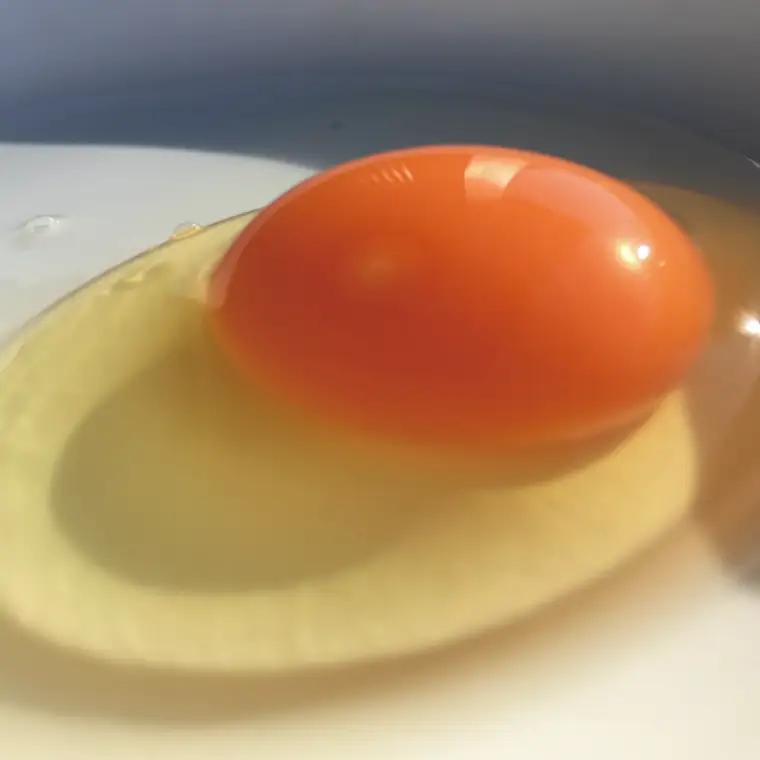 たまご 定期便 30個 年12回 黒麹育ちの赤たまご BC003