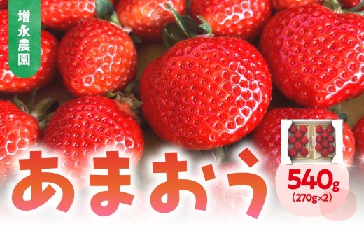 【増永農園】 あまおう 270g×2パック 【2027年1月より順次発送】 ジューシー フレッシュ 苺 スイーツ作り イチゴ 美味しい いちご 福岡県 八女市
