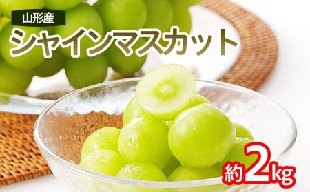 シャインマスカット 秀 約2kg(3～4房) 【令和8年産先行予約】FS25-641 くだもの 果物 フルーツ 山形 山形県 山形市 2026年産