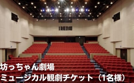 観劇チケット 坊っちゃん劇場 ミュージカル 観劇チケット【1名】