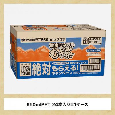ふるさと納税 川南町 【毎月定期便】健康ミネラル むぎ茶 カフェインゼロ650ml×24本(川南町)全6回 |  | 02