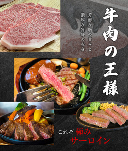 和牛 ステーキ 牛肉 牛 精肉 / 尾呂志屋精肉店の和牛サーロイン ステーキ用3枚(1枚あたり約300g)【1か月以内に順次発送】【ors014】