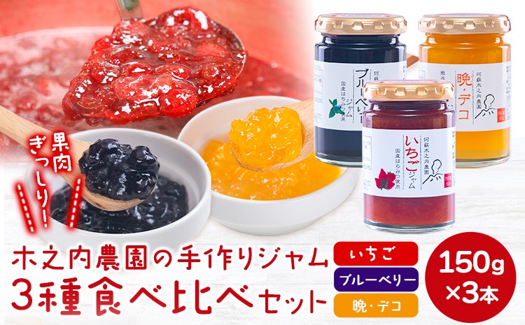 木之内農園の手作りジャム　3種食べ比べセット 150g×3本 《30日以内に出荷予定(土日祝を除く)》 熊本県南阿蘇村 ジャム いちご ブルーベリー 晩白柚 不知火 デコ 苺 大粒 乗せるジャム---isms_kinojibd_30d_r7_9500_3p---
