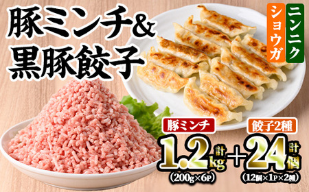 豚ミンチ6袋＆黒豚餃子2種詰合せ (豚ミンチ：200g×6P・黒豚餃子(ショウガ)：12個×1P・黒豚餃子(ニンニク)：12個×1P) 鹿児島県産 豚ミンチ 餃子【株式会社南給】A589