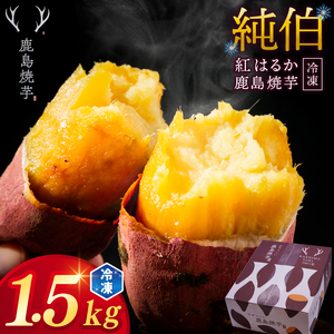 【焼き芋】 数量限定 訳あり 冷凍焼き芋 500g ×3袋「ひゃっこい 鹿島焼芋 純伯 1.5kg」 焼き芋