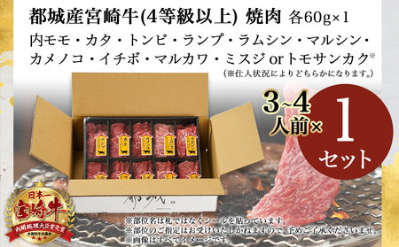 【お中元】宮崎牛食べ比べ10種盛り焼肉セット_17-3102-SG_(都城市) 都城産 宮崎牛 A4ランク 焼肉 セット 内モモ カタ トンビ ランプ ラムシン マルシン カメノコ イチボ マルカワ 